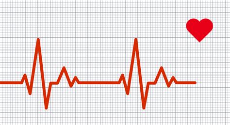 What Your Heart Rate Can Tell You About Your Healthratemds Health News