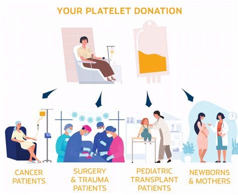 What Is A Platelet Donation We Are Blood