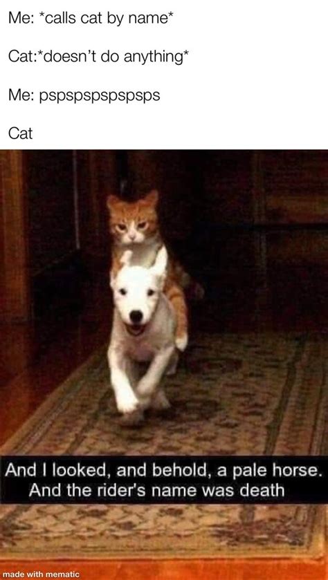 Ridiculous definition, causing or worthy of ridicule or derision; Ridiculous Memes | Fun