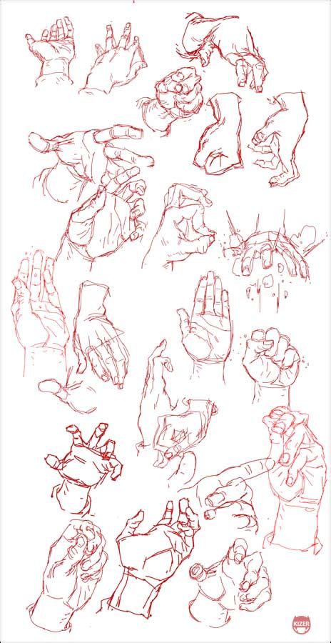 Hand Study By Corankizerstone On Deviantart