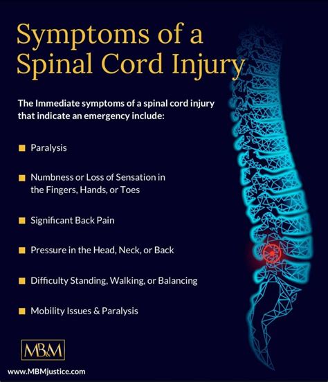 Spinal Cord Injury Types Causes Symptoms Diagnosis And Treatment