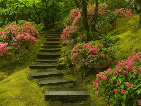 Schönbrunn palace gardens in vienna, austria. Japanese Garden Washington Park Wallpapers | HD Wallpapers ...