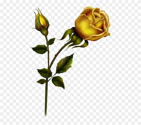 Yellow Rose Bud Clipart 10 Free Cliparts Download Images On