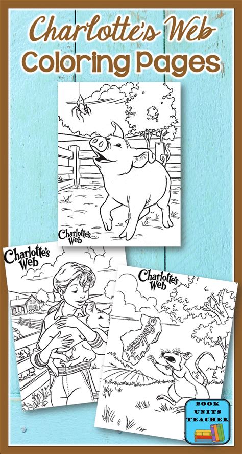 One bowl has the paper's which have house symbols printed on it. Charlotte's Web Activities | Book Units Teacher ...
