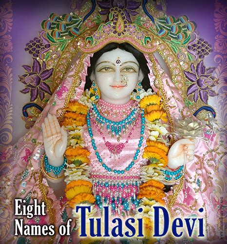 The Eight Names Of Tulasi Devi Tulasi Namashtaka Stotram Wordzz