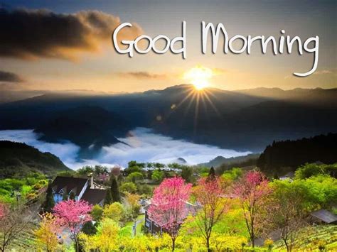 Beautiful Good Morning Wallpaper - HD Wallpaper Pictures