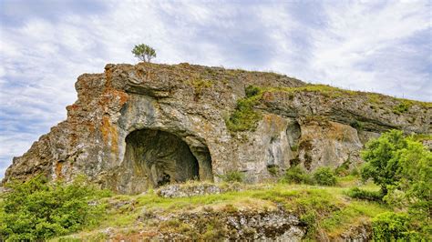 Download Wallpaper 2560x1440 Cave Rock Tree Widescreen 169 Hd Background