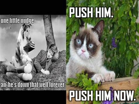 Erika Kaisersot Erikakaisersot Funny Grumpy Cat Memes Cat Quotes