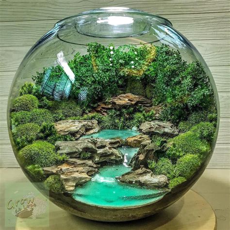 Believe it or not, cacti can get sunburned. 2,125 curtidas, 33 comentários - Terrarium Imaginarium ...
