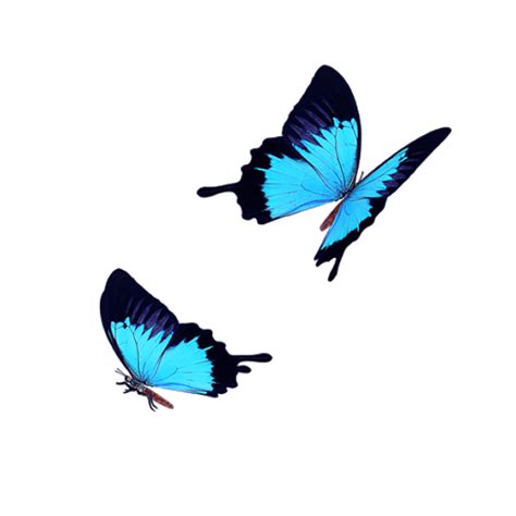 Flying Blue Butterflies Png Photo Png Arts