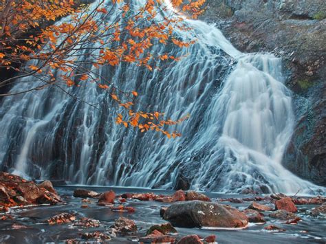 Canada Forest Waterfall In Autumn Stones River Waterfall Tree With Red