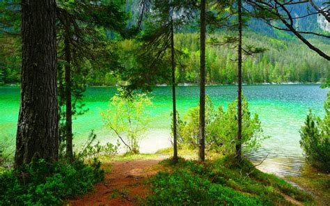 Wallpaper Sunlight Trees Landscape Mountains Lake