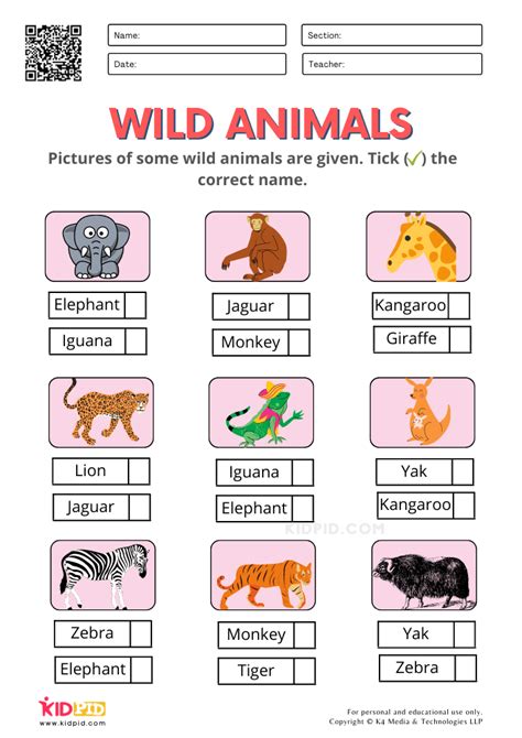 Wild Animals Worksheets For Kindergarten Kidpid