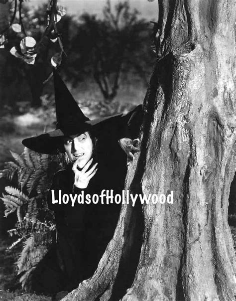 Margaret Hamilton Wizard Of Oz Wicked Witch Of The East Hiding By A Tree Contemplating Her