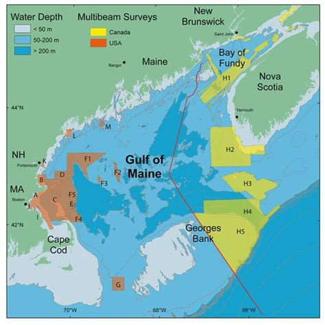 Evolution In The Gulf Of Maine Microbewiki