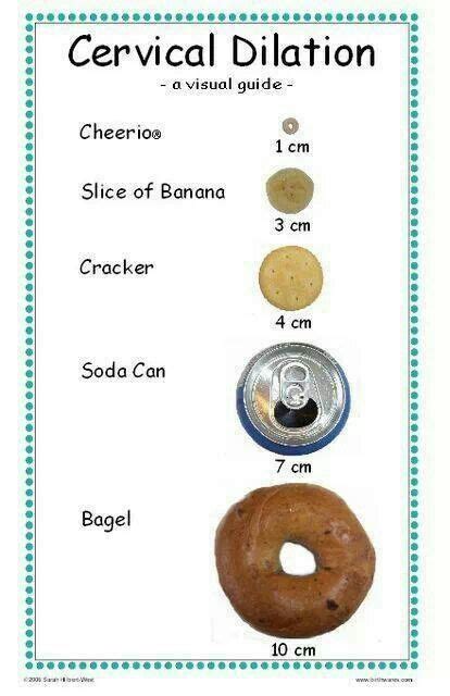 Because This Works For Me Cervical Dilation Chart Ob Nursing Nurse