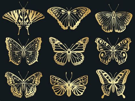 Premium Vector Butterflies Drawing Set Isolated Sketch Style