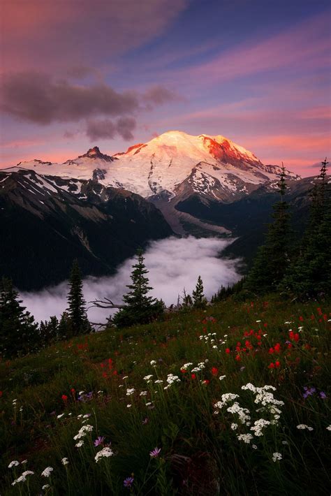 Lever De Soleil Sur Tahoma Parc National Du Mont Rainier Washington