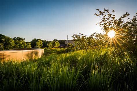 Reading Hospital Roof Garden — Jonathan Alderson Landscape Architects