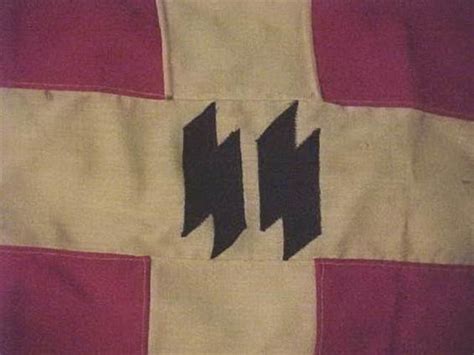 The denmark flag is a red and white scandinavian cross that extends to the edges of the flag. DANISH Waffen SS Flag???