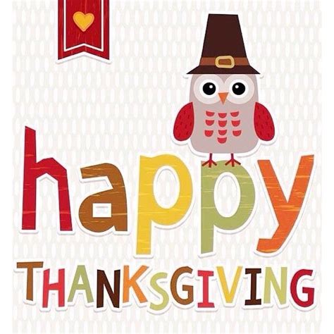 Cute Thanksgiving Owl Pictures Photos And Images For