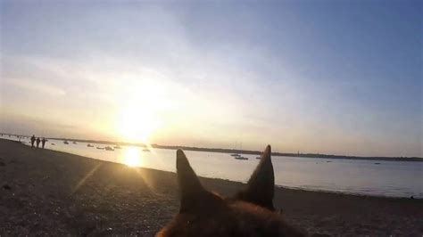 Dogging At Wrabness Beach Youtube