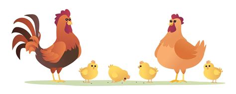 Gallo Gallina Y Pollitos Conjunto De Ilustraci N De Dibujos Animados De