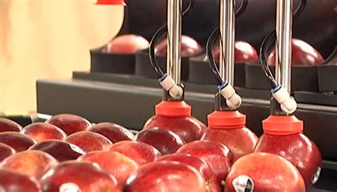 Fruit Growers Turn To Robots To Solve Labour Shortage Newshub