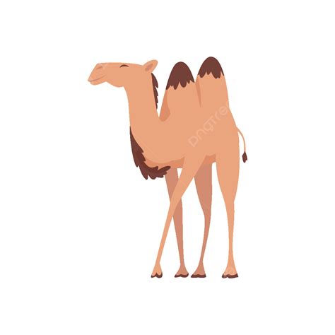 Desert Camels African Funny Animals For Travelling Across Africa Or