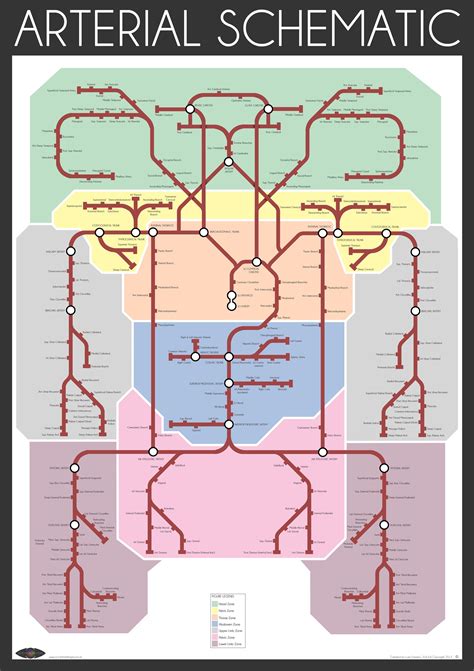The anatomical poster of the clinically important blood vessel and nerve pathways is a great addition to any doctors office or classroom. The "Arterial Schematic" represents the intricate three-dimensional human arterial system in a ...