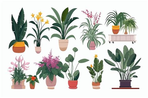 Premium Vector House Plants And Flowers In Pots For Home Interior