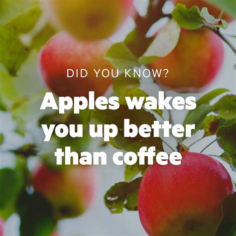 Impressive Right The Easiest Way To Stay Awake Is To Stimulate Your