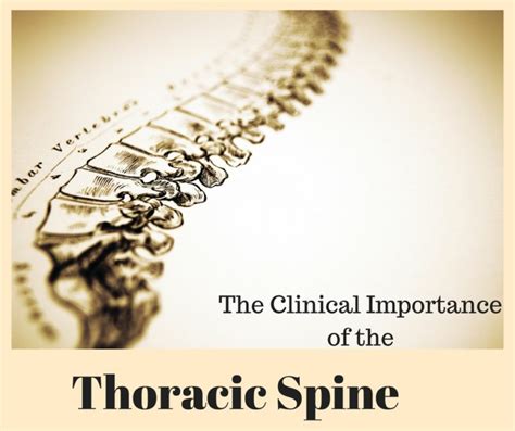 The Clinical Importance Of The Thoracic Spine Symmetry Physical Therapy
