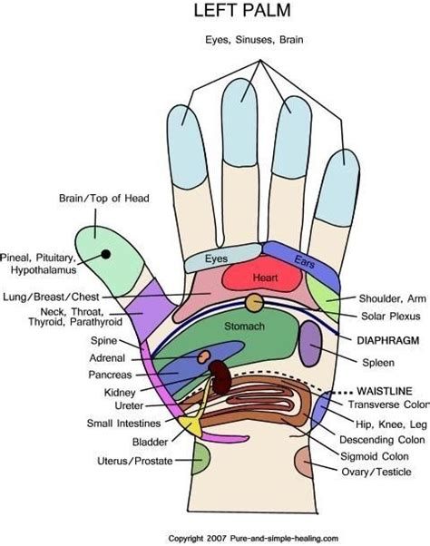 know your hand s pressure points hand reflexology reflexology reflexology chart