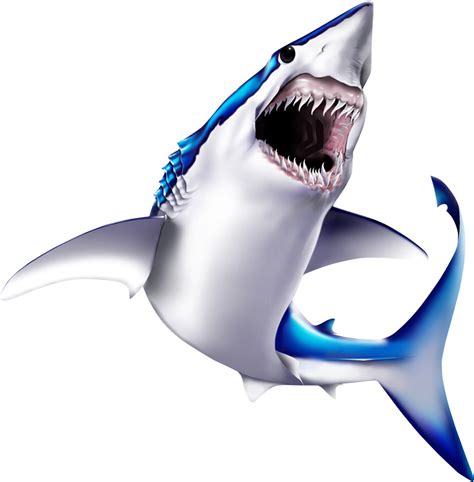 Mako Shark Clipart Download Mako Shark Clipart For Free 2019