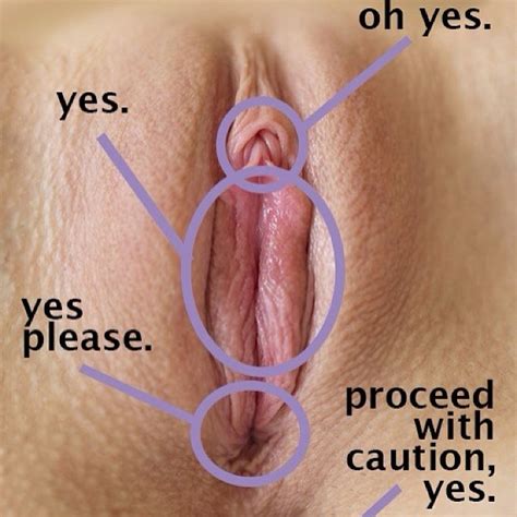 Saml Diagram Sexiezpix Web Porn