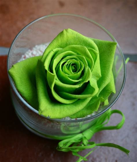 We've gathered more than 5 million images uploaded by our users and sorted them by the most popular ones. Allinallwalls : Most beautiful green roses in the world ...