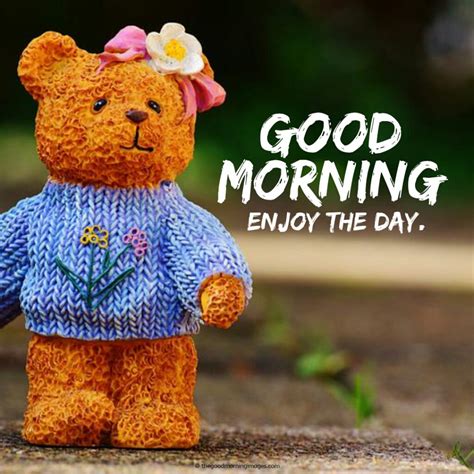 Extensive Collection Of 4k Good Morning Teddy Images Over 999