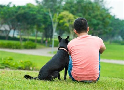 Top Four Reasons Girls Love Guys With Dogs Petmd