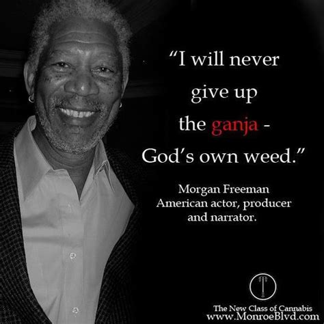List 100 wise famous quotes about weeds: 30 best My Greenery images on Pinterest | Funny weed pictures, Cannabis and Funny stuff