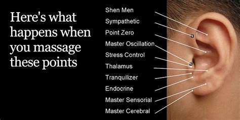 here s what happens when you massage these points on your ear higher perspective