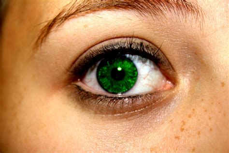 Emerald Green Athanasias Eye Color Business Woman Successful