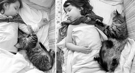 This Adorable Friendship Between A Girl With Autism And Her Cat Will
