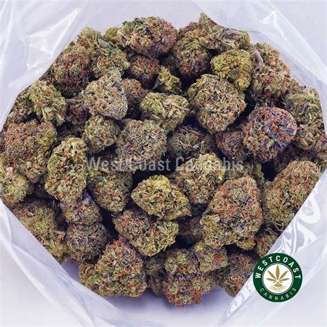 Buy Pink Cookies Aaa Online West Coast Cannabis