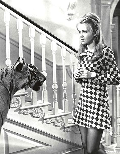 Picture Of Hayley Mills