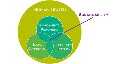Environmental Sustainability St Josephs Healthcare Hamilton