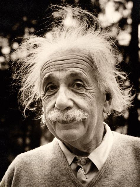 Ten Facts You Should Know About Albert Einstein Retratos Famosos