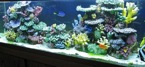 Fake Coral Reef Decorations For Colorful Freshwater Fish Aquariums