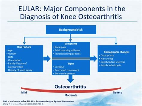 Osteoarthrosis Causes Symptoms Diagnosis Treatment Rxharun