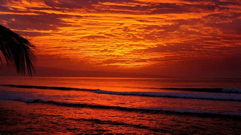 Hawaiian Tropical Beach Sunset Wallpaper